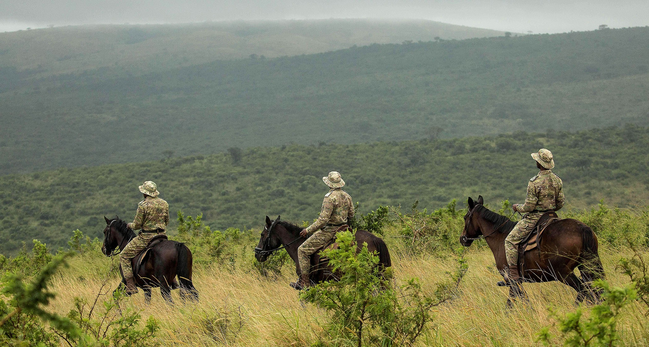 Conservation ranger in khaki uniform standing with binoculars in African savanna at golden hour